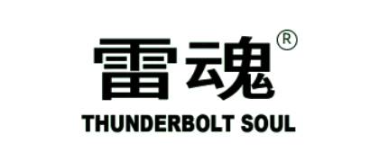 THUNDERBOLT SOUL logo